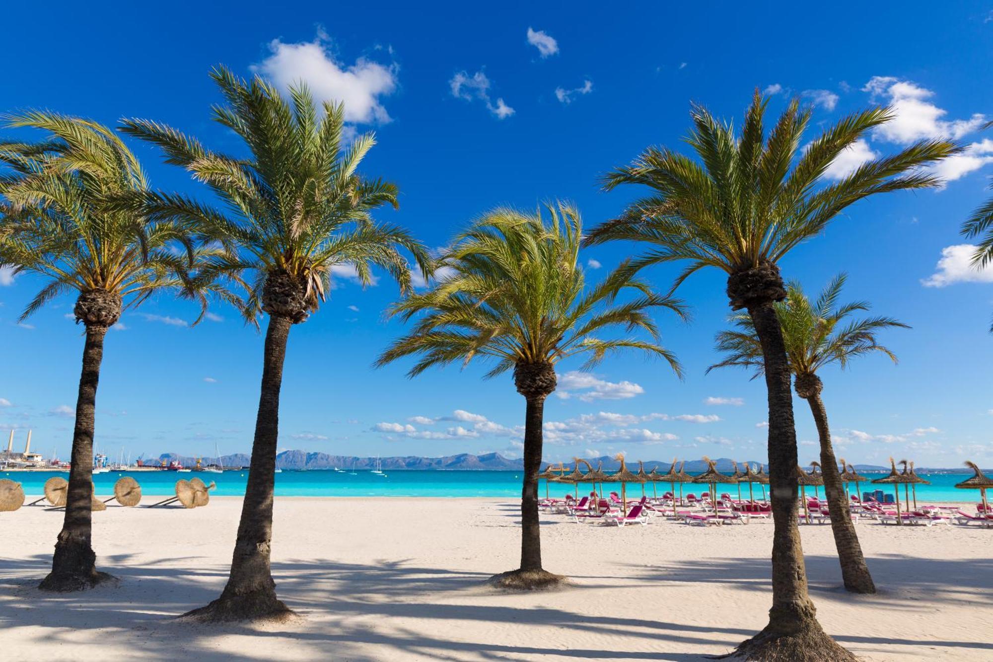 Alcudia Garden Aparthotel Port de Alcudia  Exterior foto
